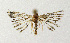  ( - NHMO-DAR-12547)  @13 [ ] CreativeCommons - Attribution Non-Commercial Share-Alike (2017) Unspecified University of Oslo, Natural History Museum