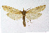  ( - NHMO-DAR-13675)  @13 [ ] CreativeCommons - Attribution Non-Commercial Share-Alike (2017) Unspecified University of Oslo, Natural History Museum