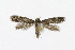  ( - NHMO-DAR-13696)  @13 [ ] CreativeCommons - Attribution Non-Commercial Share-Alike (2017) Unspecified University of Oslo, Natural History Museum