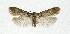  ( - NHMO-DAR-13697)  @13 [ ] CreativeCommons - Attribution Non-Commercial Share-Alike (2017) Unspecified University of Oslo, Natural History Museum