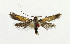  ( - NHMO-DAR-13709)  @11 [ ] CreativeCommons - Attribution Non-Commercial Share-Alike (2017) Unspecified University of Oslo, Natural History Museum