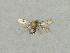  ( - NHMO-DAR-13974)  @11 [ ] CreativeCommons - Attribution Non-Commercial Share-Alike (2017) Unspecified University of Oslo, Natural History Museum