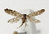  ( - NHMO-DAR-12554)  @12 [ ] CreativeCommons - Attribution Non-Commercial Share-Alike (2017) Unspecified University of Oslo, Natural History Museum