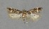  ( - NHMO-DAR-14008)  @12 [ ] CreativeCommons - Attribution Non-Commercial Share-Alike (2017) Unspecified University of Oslo, Natural History Museum