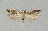  ( - NHMO-DAR-14010)  @14 [ ] CreativeCommons - Attribution Non-Commercial Share-Alike (2017) Unspecified University of Oslo, Natural History Museum