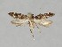 ( - NHMO-DAR-14012)  @13 [ ] CreativeCommons - Attribution Non-Commercial Share-Alike (2017) Unspecified University of Oslo, Natural History Museum