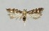  ( - NHMO-DAR-14014)  @13 [ ] CreativeCommons - Attribution Non-Commercial Share-Alike (2017) Unspecified University of Oslo, Natural History Museum
