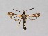  ( - NHMO-DAR-14023)  @11 [ ] CreativeCommons - Attribution Non-Commercial Share-Alike (2017) Unspecified University of Oslo, Natural History Museum