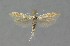  ( - NHMO-DAR-14044)  @11 [ ] CreativeCommons - Attribution Non-Commercial Share-Alike (2017) Unspecified University of Oslo, Natural History Museum
