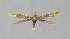  ( - NHMO-DAR-14046)  @11 [ ] CreativeCommons - Attribution Non-Commercial Share-Alike (2017) Unspecified University of Oslo, Natural History Museum