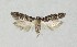  ( - NHMO-DAR-14056)  @14 [ ] CreativeCommons - Attribution Non-Commercial Share-Alike (2017) Unspecified University of Oslo, Natural History Museum