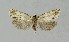  ( - NHMO-DAR-14054)  @12 [ ] CreativeCommons - Attribution Non-Commercial Share-Alike (2017) Unspecified University of Oslo, Natural History Museum