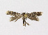  ( - NHMO-DAR-14602)  @13 [ ] CreativeCommons - Attribution Non-Commercial Share-Alike (2018) Unspecified University of Oslo, Natural History Museum