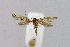  ( - NHMO-DAR-14629)  @12 [ ] CreativeCommons - Attribution Non-Commercial Share-Alike (2018) Unspecified University of Oslo, Natural History Museum