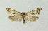  ( - NHMO-DAR-14638)  @13 [ ] CreativeCommons - Attribution Non-Commercial Share-Alike (2018) Unspecified University of Oslo, Natural History Museum