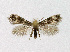  ( - NHMO-DAR-14661)  @11 [ ] CreativeCommons - Attribution Non-Commercial Share-Alike (2018) Unspecified University of Oslo, Natural History Museum