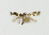  ( - NHMO-DAR-14662)  @12 [ ] CreativeCommons - Attribution Non-Commercial Share-Alike (2018) Unspecified University of Oslo, Natural History Museum