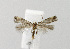  ( - NHMO-DAR-14666)  @12 [ ] CreativeCommons - Attribution Non-Commercial Share-Alike (2018) Unspecified University of Oslo, Natural History Museum