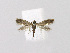  ( - NHMO-DAR-14668)  @11 [ ] CreativeCommons - Attribution Non-Commercial Share-Alike (2018) Unspecified University of Oslo, Natural History Museum