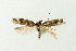  ( - NHMO-DAR-14671)  @13 [ ] CreativeCommons - Attribution Non-Commercial Share-Alike (2018) Unspecified University of Oslo, Natural History Museum