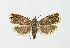 ( - NHMO-DAR-14961)  @13 [ ] CreativeCommons - Attribution Non-Commercial Share-Alike (2018) Unspecified University of Oslo, Natural History Museum