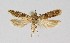  ( - NHMO-DAR-14981)  @13 [ ] CreativeCommons - Attribution Share-Alike (2018) Unspecified University of Oslo, Natural History Museum