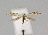  ( - NHMO-DAR-14993)  @13 [ ] CreativeCommons - Attribution Non-Commercial Share-Alike (2018) Unspecified University of Oslo, Natural History Museum