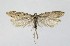  ( - NHMO-DAR-14997)  @13 [ ] CreativeCommons - Attribution Non-Commercial Share-Alike (2018) Unspecified University of Oslo, Natural History Museum