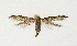 ( - NHMO-DAR-12588)  @13 [ ] CreativeCommons - Attribution Non-Commercial Share-Alike (2017) Unspecified University of Oslo, Natural History Museum