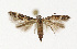  ( - NHMO-DAR-12590)  @14 [ ] CreativeCommons - Attribution Non-Commercial Share-Alike (2017) Unspecified University of Oslo, Natural History Museum