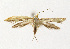  ( - NHMO-DAR-12615)  @13 [ ] CreativeCommons - Attribution Non-Commercial Share-Alike (2017) Unspecified University of Oslo, Natural History Museum