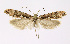  ( - NHMO-DAR-12624)  @11 [ ] CreativeCommons - Attribution Non-Commercial Share-Alike (2017) Unspecified University of Oslo, Natural History Museum