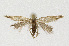  ( - NHMO-DAR-12652)  @13 [ ] CreativeCommons - Attribution Non-Commercial Share-Alike (2017) Unspecified University of Oslo, Natural History Museum