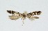  ( - NHMO-DAR-15000)  @11 [ ] CreativeCommons - Attribution Non-Commercial Share-Alike (2018) Unspecified University of Oslo, Natural History Museum