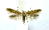 ( - NHMO-DAR-10276)  @13 [ ] CreativeCommons - Attribution Non-Commercial Share-Alike (2016) Unspecified University of Oslo, Natural History Museum