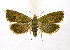  ( - NHMO-DAR-10278)  @13 [ ] CreativeCommons - Attribution Non-Commercial Share-Alike (2016) Unspecified University of Oslo, Natural History Museum