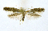  ( - NHMO-DAR-10294)  @13 [ ] CreativeCommons - Attribution Non-Commercial Share-Alike (2016) Unspecified University of Oslo, Natural History Museum