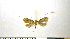  ( - NHMO-DAR-10296)  @12 [ ] CreativeCommons - Attribution Non-Commercial Share-Alike (2016) Unspecified University of Oslo, Natural History Museum