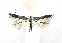  ( - NHMO-DAR-10305)  @13 [ ] CreativeCommons - Attribution Non-Commercial Share-Alike (2016) Unspecified University of Oslo, Natural History Museum