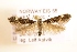  ( - NHMO-DAR-1417)  @13 [ ] No Rights Reserved (2014) Arild Johnsen University of Oslo, Natural History Museum