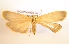  ( - NHMO-DAR-1425)  @13 [ ] No Rights Reserved (2014) Arild Johnsen University of Oslo, Natural History Museum
