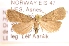  ( - NHMO-DAR-1458)  @13 [ ] No Rights Reserved (2014) Arild Johnsen University of Oslo. Natural History Museum