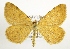 ( - NHMO-DAR-1479)  @13 [ ] No Rights Reserved (2014) Arild Johnsen University of Oslo, Natural History Museum