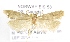  ( - NHMO-DAR-1506)  @12 [ ] No Rights Reserved (2014) Arild Johnsen University of Oslo, Natural History Museum