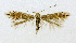  ( - NHMO-DAR-12082)  @13 [ ] CreativeCommons - Attribution Non-Commercial Share-Alike (2017) Unspecified University of Oslo, Natural History Museum