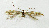  ( - NHMO-DAR-4160)  @11 [ ] CreativeCommons - Attribution Non-Commercial Share-Alike (2016) Unspecified University of Oslo, Natural History Museum