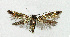  ( - NHMO-DAR-4161)  @12 [ ] CreativeCommons - Attribution Non-Commercial Share-Alike (2016) Unspecified University of Oslo, Natural History Museum