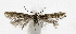  ( - NHMO-DAR-12078)  @13 [ ] CreativeCommons - Attribution Non-Commercial Share-Alike (2017) Unspecified University of Oslo, Natural History Museum