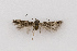  ( - NHMO-DAR-14120)  @11 [ ] CreativeCommons - Attribution Non-Commercial Share-Alike (2017) Unspecified University of Oslo, Natural History Museum
