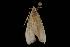  ( - Moth 132.03CC)  @12 [ ] CreativeCommons - Attribution (2010) Unspecified Centre for Biodiversity Genomics